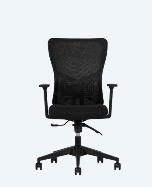 Lumbar Siyah Çalışma Koltuğu
