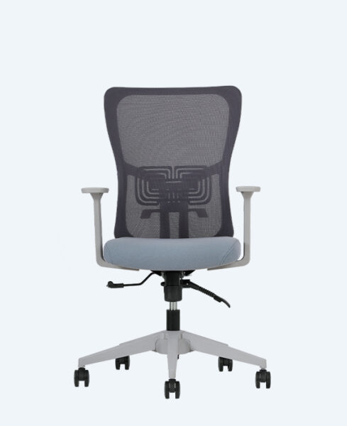 Lumbar Gri Çalışma Koltuğu